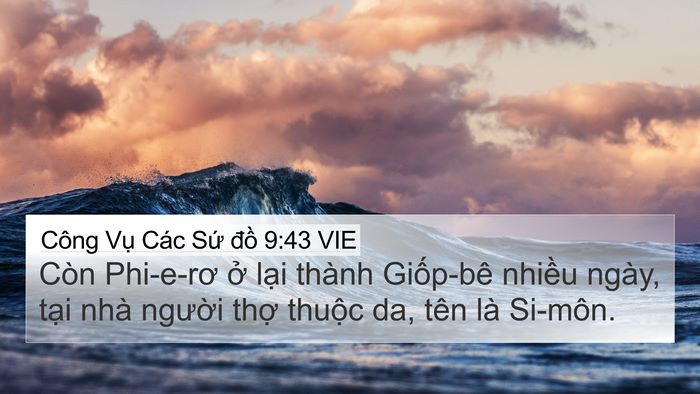 Công Vụ Các Sứ đồ 9:43 VIE Bible Verse Image