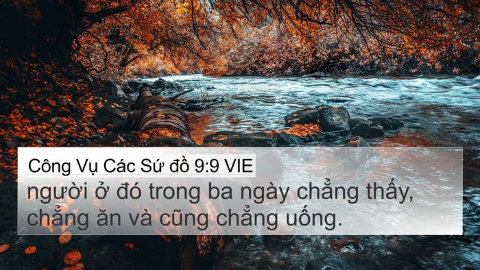 Công Vụ Các Sứ đồ 9:9 VIE Bible Verse Image