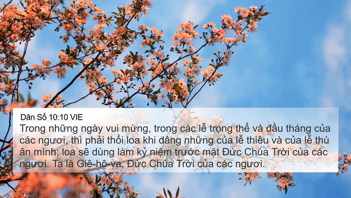 Dân Số 10:10 VIE Bible Verse Image