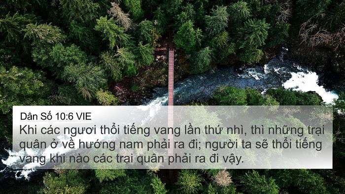 Dân Số 10:6 VIE Bible Verse Image