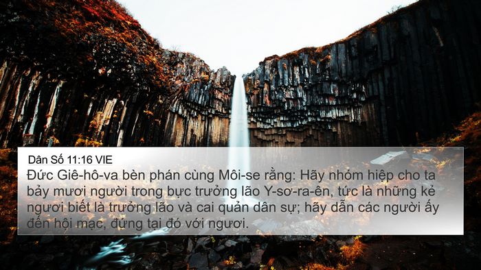 Dân Số 11:16 VIE Bible Verse Image