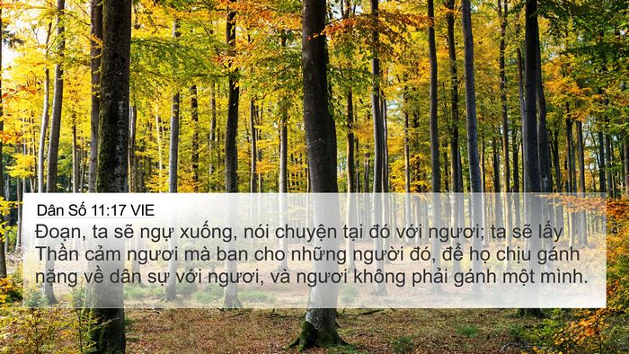 Dân Số 11:17 VIE Bible Verse Image