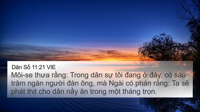 Dân Số 11:21 VIE Bible Verse Image