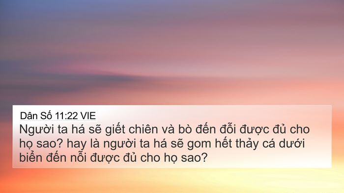 Dân Số 11:22 VIE Bible Verse Image
