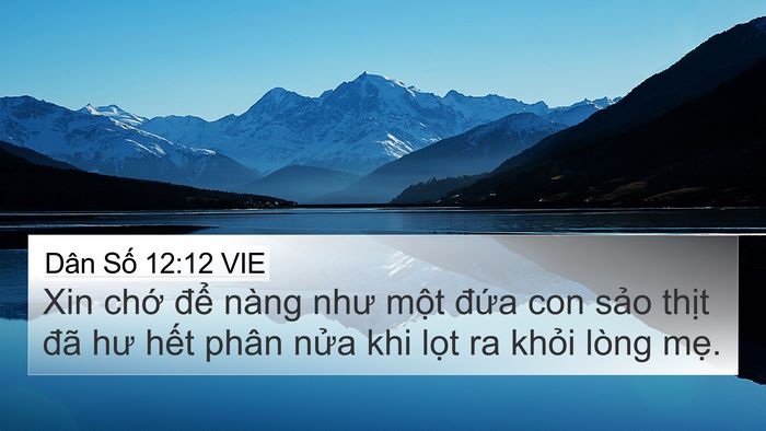 Dân Số 12:12 VIE Bible Verse Image