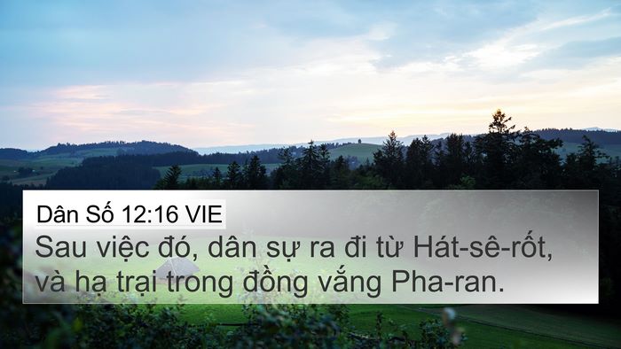 Dân Số 12:16 VIE Bible Verse Image