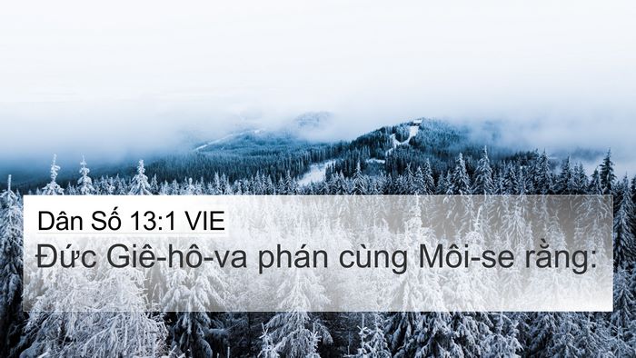 Dân Số 13:1 VIE Bible Verse Image