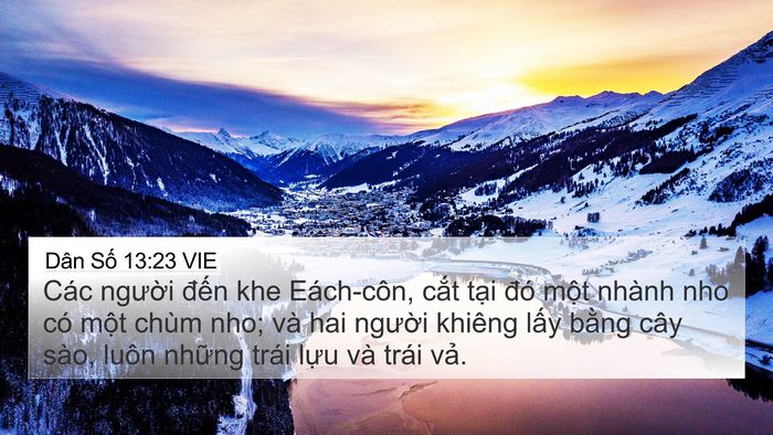 Dân Số 13:23 VIE Bible Verse Image