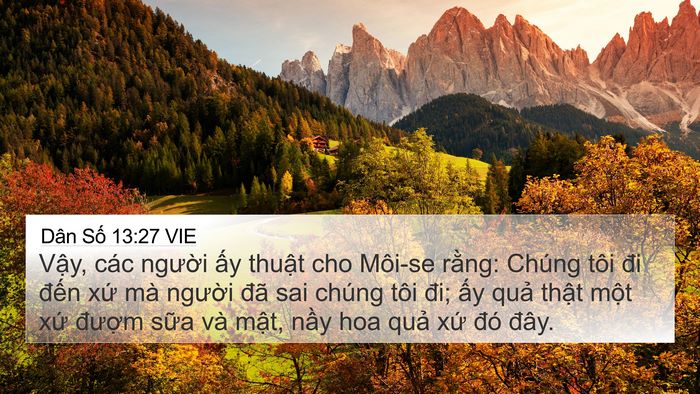 Dân Số 13:27 VIE Bible Verse Image
