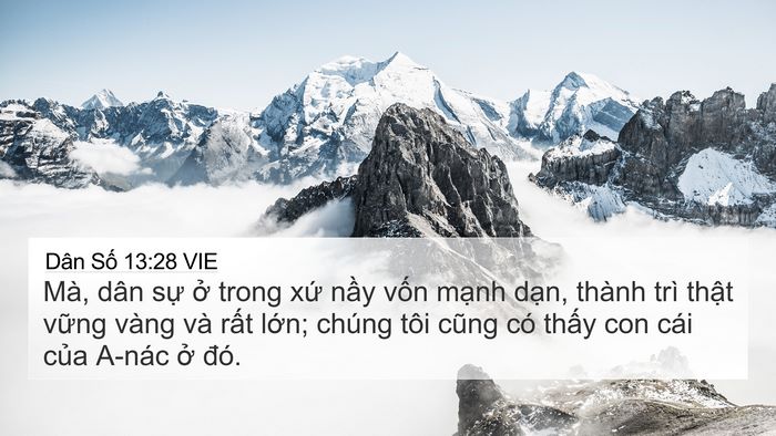 Dân Số 13:28 VIE Bible Verse Image
