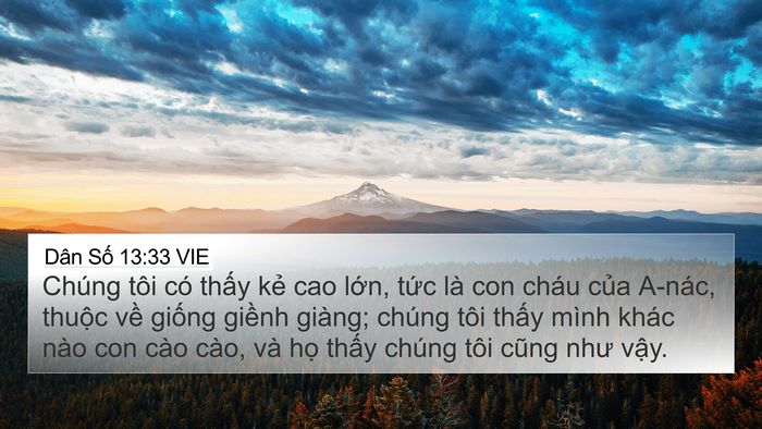 Dân Số 13:33 VIE Bible Verse Image