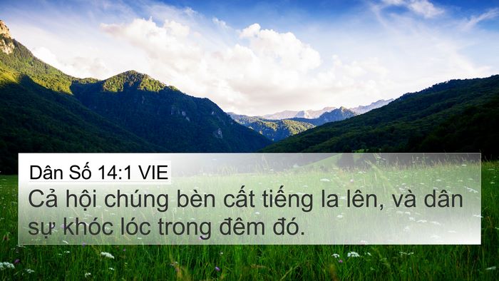 Dân Số 14:1 VIE Bible Verse Image