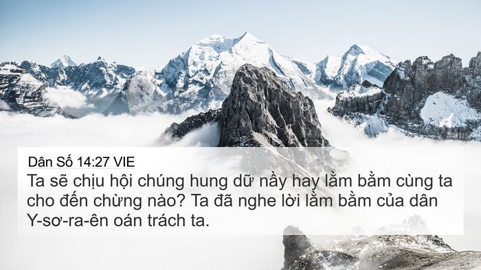 Dân Số 14:27 VIE Bible Verse Image