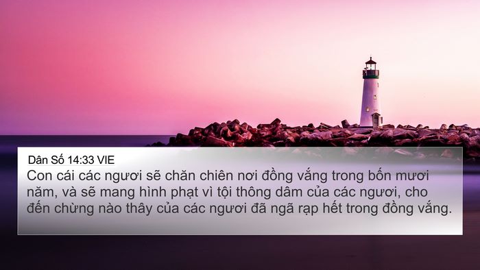 Dân Số 14:33 VIE Bible Verse Image