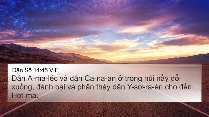 Dân Số 14:45 VIE Bible Verse Image