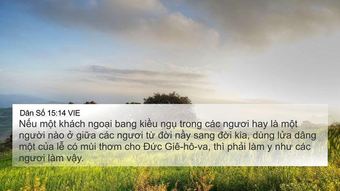 Dân Số 15:14 VIE Bible Verse Image