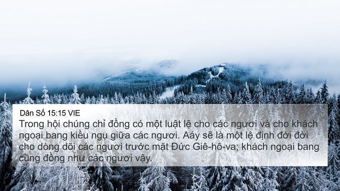 Dân Số 15:15 VIE Bible Verse Image