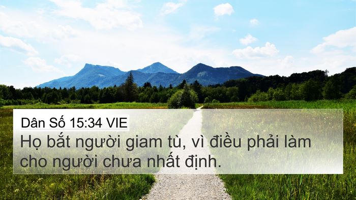 Dân Số 15:34 VIE Bible Verse Image