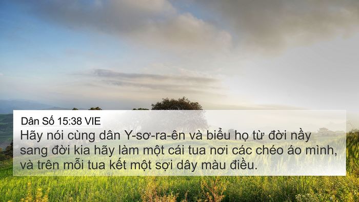 Dân Số 15:38 VIE 4K Wallpaper - Hãy nói cùng dân Y-sơ-ra-ên và biểu họ - 4K Wallpaper Bible Verse