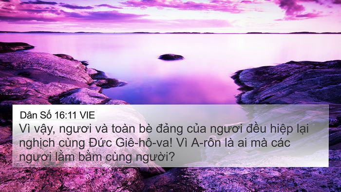 Dân Số 16:11 VIE 4K Wallpaper - Vì vậy, ngươi và toàn bè đảng của - 4K Wallpaper Bible Verse
