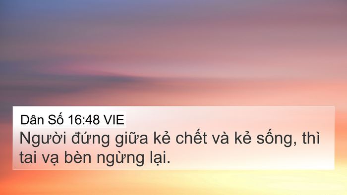 Dân Số 16:48 VIE Bible Verse Image