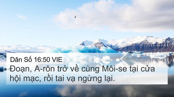 Dân Số 16:50 VIE 4K Wallpaper - Đoạn, A-rôn trở về cùng Môi-se tại - 4K Wallpaper Bible Verse