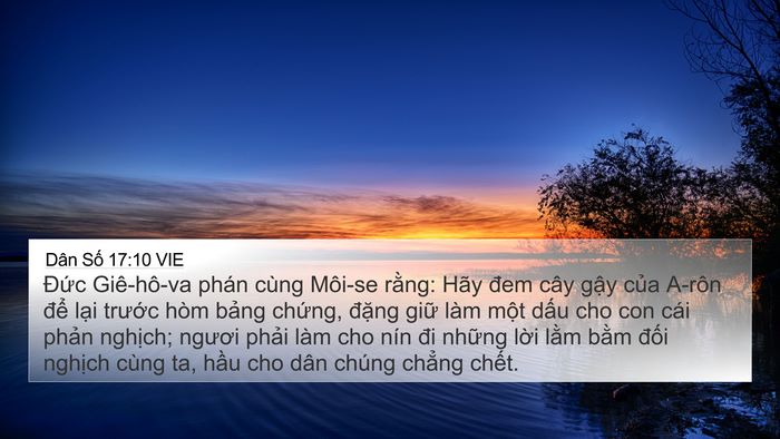 Dân Số 17:10 VIE 4K Wallpaper - Đức Giê-hô-va phán cùng Môi-se rằng: - 4K Wallpaper Bible Verse