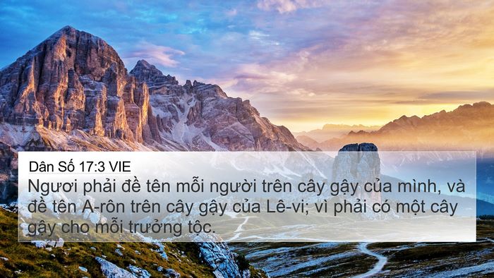 Dân Số 17:3 VIE Bible Verse Image
