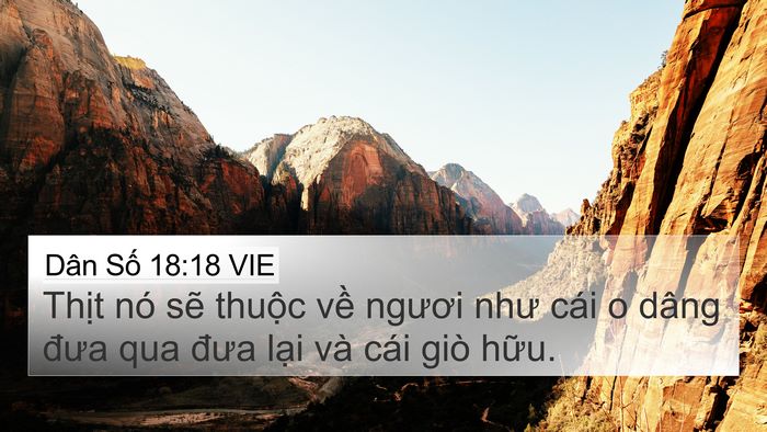 Dân Số 18:18 VIE Bible Verse Image