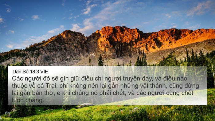 Dân Số 18:3 VIE Bible Verse Image