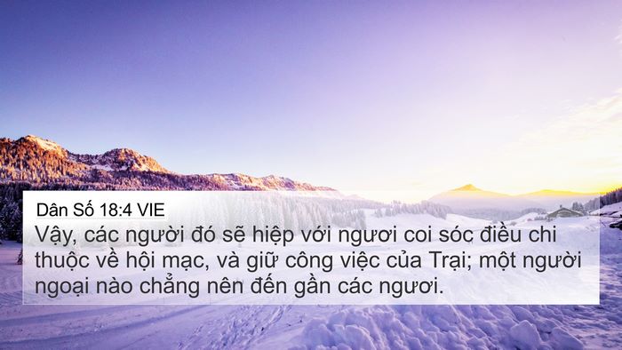 Dân Số 18:4 VIE Bible Verse Image