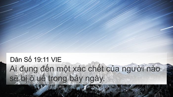 Dân Số 19:11 VIE Bible Verse Image
