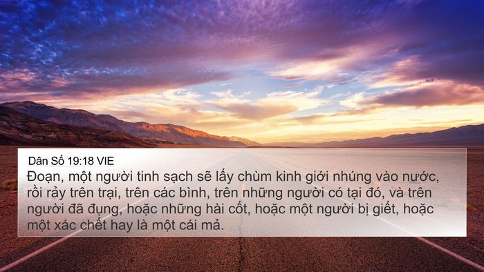Dân Số 19:18 VIE 4K Wallpaper - Đoạn, một người tinh sạch sẽ lấy - 4K Wallpaper Bible Verse