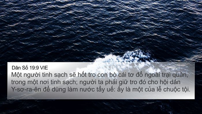 Dân Số 19:9 VIE Bible Verse Image