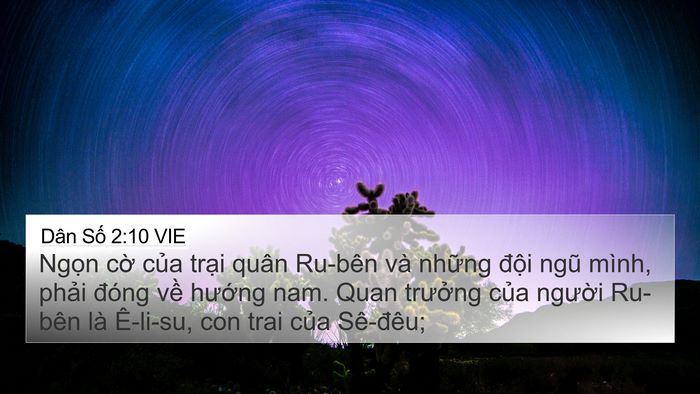 Dân Số 2:10 VIE Bible Verse Image