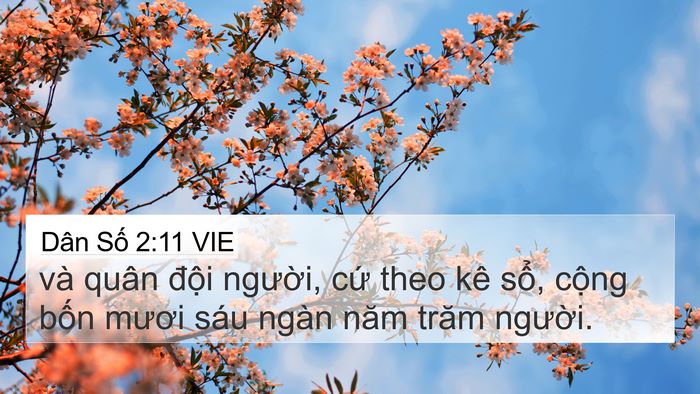 Dân Số 2:11 VIE Bible Verse Image