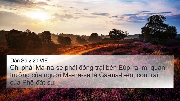 Dân Số 2:20 VIE Bible Verse Image
