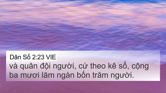 Dân Số 2:23 VIE Bible Verse Image