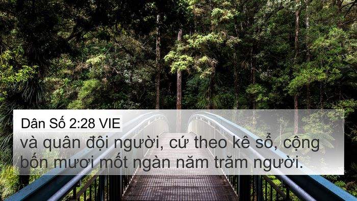 Dân Số 2:28 VIE Bible Verse Image