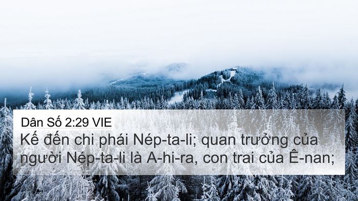 Dân Số 2:29 VIE 4K Wallpaper - Kế đến chi phái Nép-ta-li; quan trưởng - 4K Wallpaper Bible Verse
