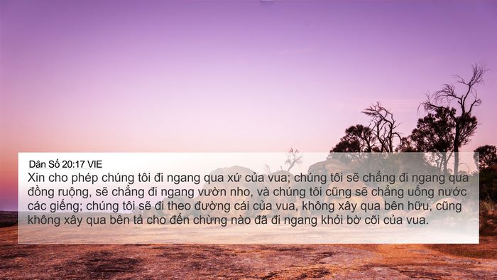 Dân Số 20:17 VIE Bible Verse Image