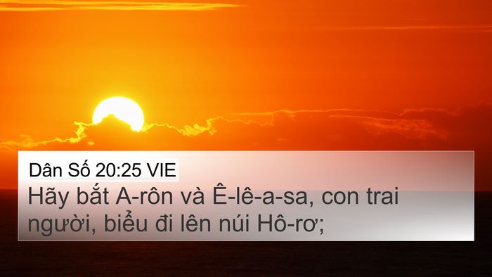 Dân Số 20:25 VIE 4K Wallpaper - Hãy bắt A-rôn và Ê-lê-a-sa, con trai - 4K Wallpaper Bible Verse