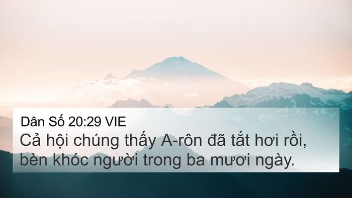 Dân Số 20:29 VIE 4K Wallpaper - Cả hội chúng thấy A-rôn đã tắt hơi - 4K Wallpaper Bible Verse