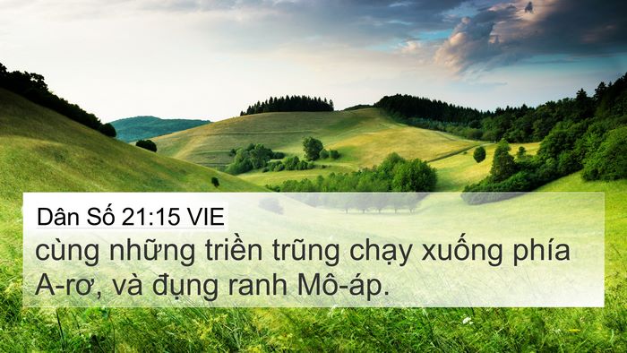 Dân Số 21:15 VIE Bible Verse Image