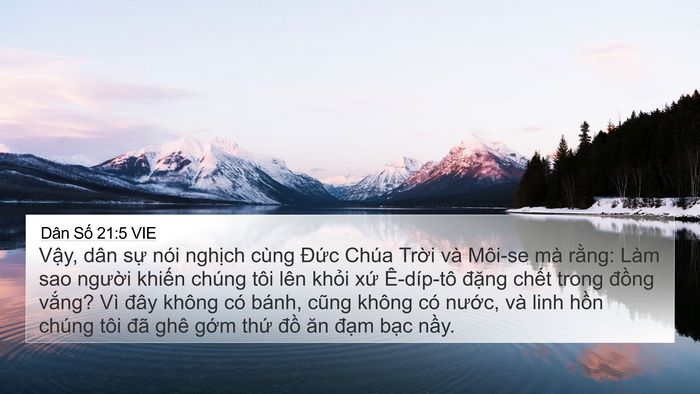 Dân Số 21:5 VIE Bible Verse Image