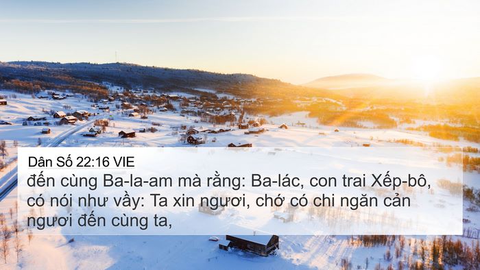 Dân Số 22:16 VIE 4K Wallpaper - đến cùng Ba-la-am mà rằng: Ba-lác, con - 4K Wallpaper Bible Verse