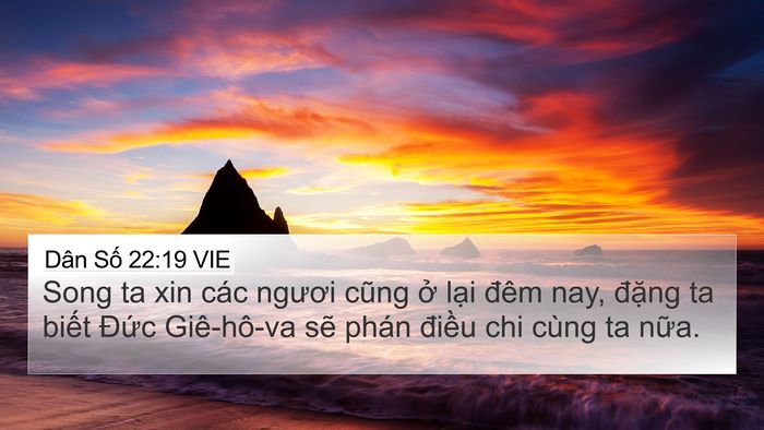 Dân Số 22:19 VIE Bible Verse Image