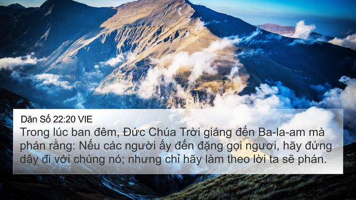 Dân Số 22:20 VIE Bible Verse Image