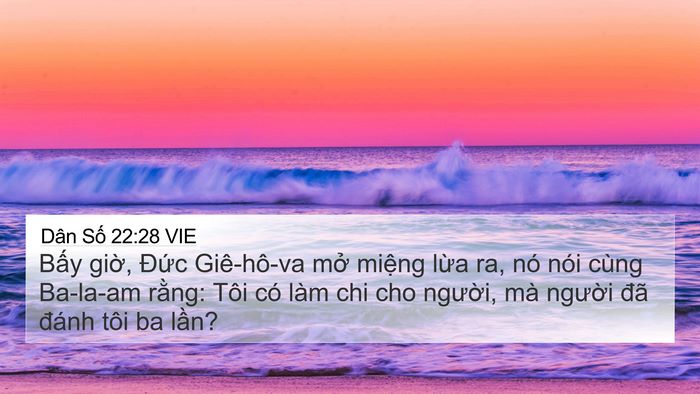 Dân Số 22:28 VIE Bible Verse Image