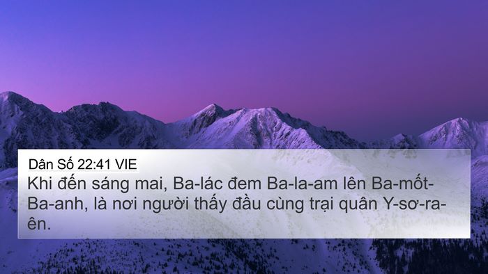 Dân Số 22:41 VIE Bible Verse Image